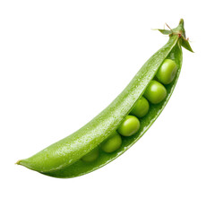 A vibrant green pea pod on a black background