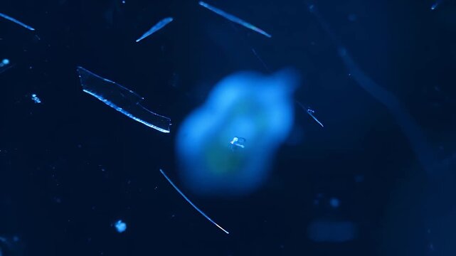 A 4K macro shot of a delicate plankton being silently encroached upon by sharp, iridescent microplastic shards and fibers, creating a suspenseful narrative of inevitable invasion.