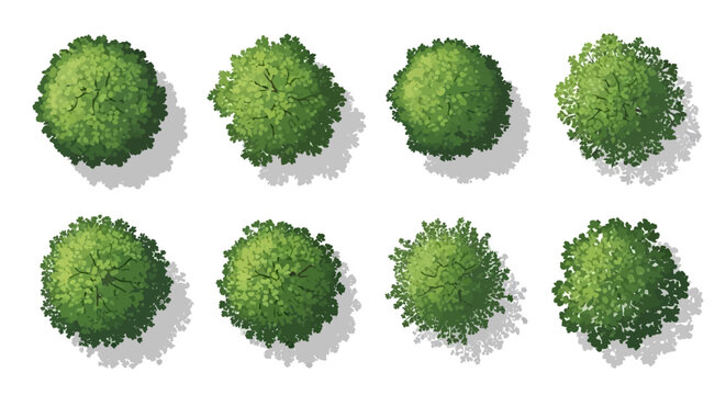 A collection of eight detailed illustrations of green trees viewed from directly above, casting subtle shadows.