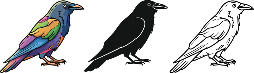 Fototapeta premium Colorful raven bird graphic shown in full color, black silhouette, and detailed line art versions for art projects.