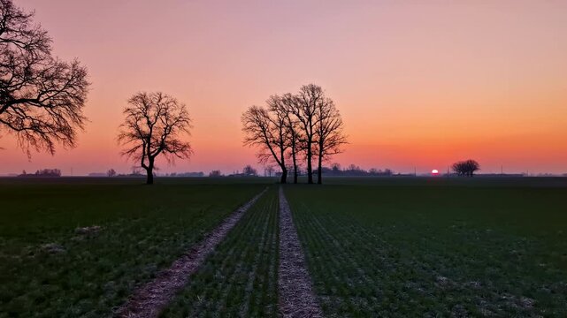 Sunset over peaceful field in Jelgava, Latvia, creating serene atmosphere