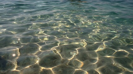 Fototapeta premium Sunlight creates shimmering geometric patterns on the clear surface of shallow ocean water