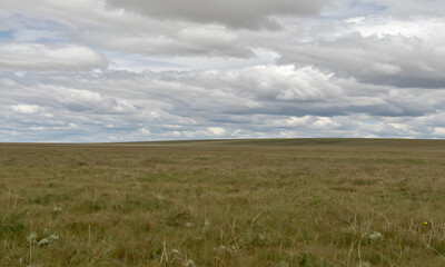 Wide-Open Plain under Overcast Sky
