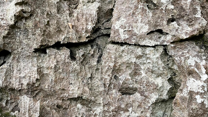 自然の造形が美しい岩のテクスチャ