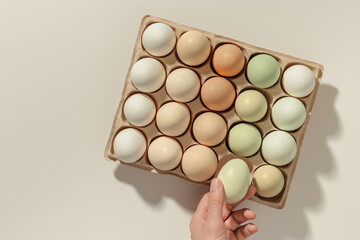 Top view natural colorful easter Eggs with shadows in carton package, minimal trend neutral earth pastel color Chicken eggs, hand picks up one egg, easter food celebration concept, farm-fresh produce.