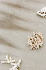 Sea Corals on beige sandy color background with palm leaf shadow, sun beach mood scene, summer holiday relahation concept, beauty nature sea texture life still, minimal nautical aesthetic, copyspace.