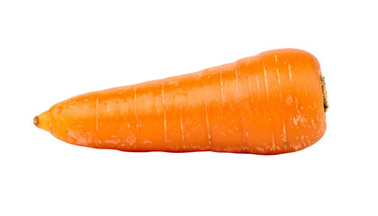 Isolated, freshly washed orange carrot against a black background