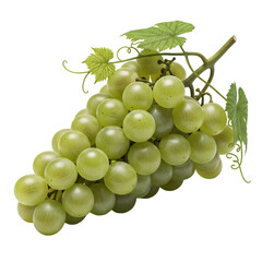 &ldquo;Green Grapes Cluster with Leaves &ndash; Fresh Produce Stock Image&rdquo;
