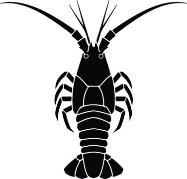 silhouette black spiny lobster aquatic animal icon on white background vector design