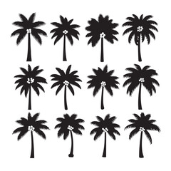 Fototapeta premium Collection of Black Palm Tree Silhouettes with Coconuts, Isolated Vector Graphics