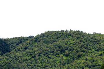 Fototapeta premium A panoramic summer landscape featuring green trees and a lush forest stretching across rolling mountain hills under a blue sky with white clouds