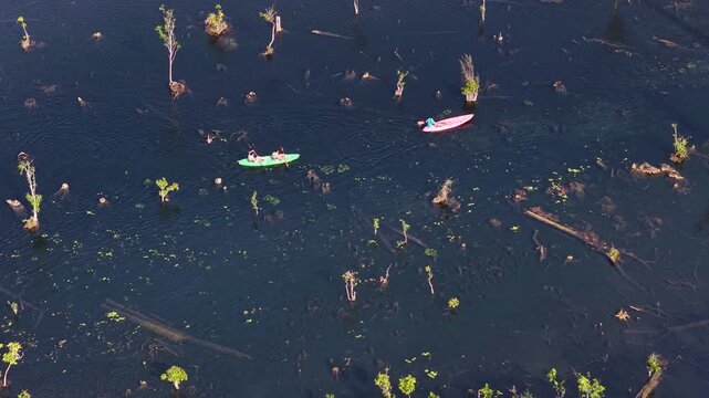 Aerial View of Kayaks Navigating Through Klong Root Mangrove Forest
