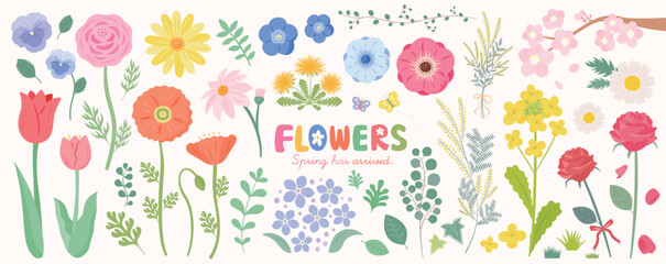 Fototapeta premium フラットでおしゃれな春のイラスト、桜、チューリップ、菜の花など春の花と葉を描いた花のデザイン