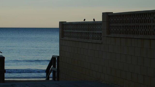 Silhouettes of two sparrows on a wall with the sea in the background