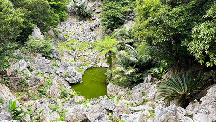 亜熱帯林と奇岩が織りなす神秘的な自然風景 沖縄 大石林山