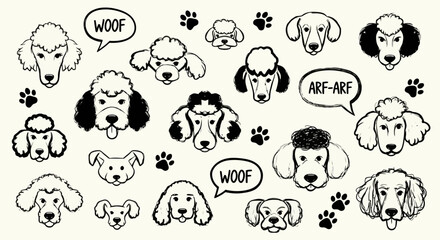 A charming collection of hand-drawn poodle faces and paw prints, showcasing various breeds and playful expressions. © Alfarizi