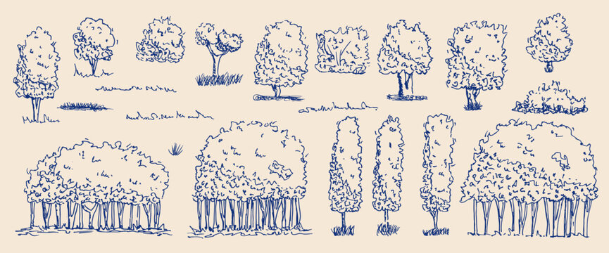 Tree, bushes and grass sketch in blue. Ink brush park elements mediterranean illustration. Vintage forest summer shrubs, ink landscape vector shrub shapes. Garden bushes silhouette isolated on beige.