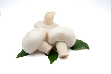 Fototapeta premium Three white champignon mushrooms, some with stems visible, alongside green leaves on a clean white surface