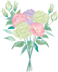 トルコキキョウ