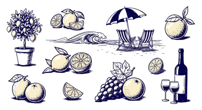 A collection of hand-drawn illustrations featuring citrus fruits, a potted lemon tree, grapes, a bottle of wine with glasses, and a beach scene with chairs and an umbrella.