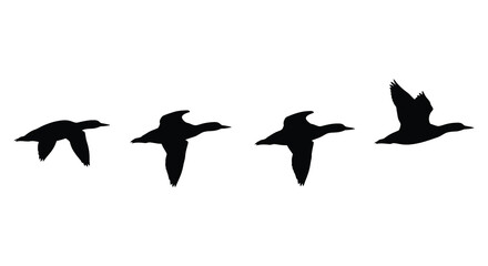 A flock of four ducks in flight represented as a striking black silhouette on transparent background high quality professional detailed modern © GDMala02