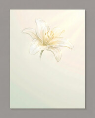  Elegant White Lily Flower on Soft Pastel Background
