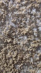 Abstract Textured Background Collection