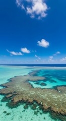 Obraz premium Aerial View of Coral Reef and Ocean.