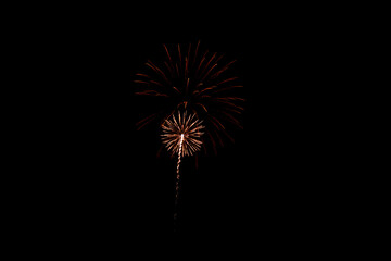 Fototapeta premium Fireworks Burst Rising Against Black Night Sky