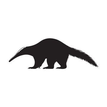 A anteater silhouette vector illustration.