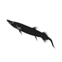 Obraz premium silhouette of a mackerel fish isolated on white.
