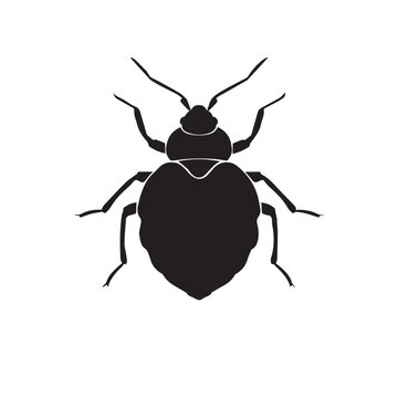 Bed bug silhouette isolated on white background. Bug icon vector illustration design.