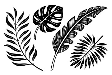Obraz premium Tropical Plant Leaves Silhouette Vector, Botanical Floral Art