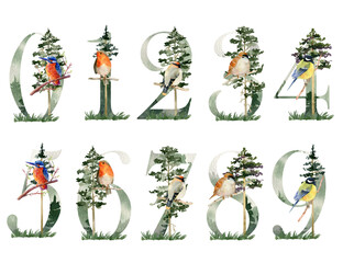 Fototapeta premium Watercolor forest numbers.