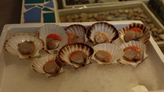 Fresh scallops displayed in open shells on crushed ice create a clean seafood market scene with natural texture soft color contrast and a chilled premium culinary presentation