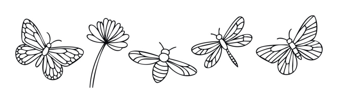 Collection of hand drawn line outlines depicting various flying insects and a botanical flower suitable for springtime projects, educational resources, and crafting applications.