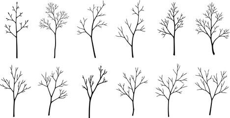 Tree branch silhouette collection with varied twig structures, organic growth patterns, black design elements for botany studies, graphic art, digital artwork, and creative projects