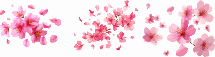 Fototapeta premium Elegant Blossom: Cherry Blossoms in Full Bloom