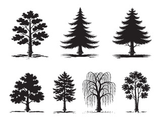 Fototapeta premium Tall tree shadow artwork for dramatic forest scenes