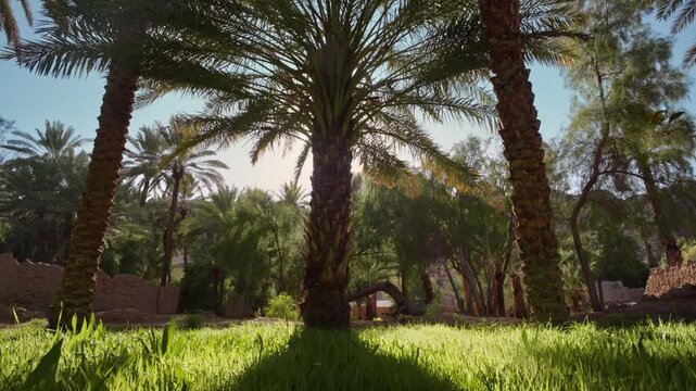 AlUla, Saudi Arabia &ndash; Peaceful Desert Oasis With Palm Groves, Green Gardens, Scenic Nature Landscapes