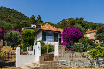 Small house with vibrant Bougainvillea and terracotta roof in Corsican countryside, France,...