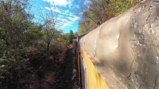 Travel on the narrow gauge toy train between Kalka and Shimla. The Kalka to Shimla toy train is a historic UNESCO World Heritage site since 2008.