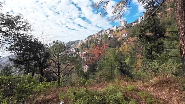 Travel on the narrow gauge toy train between Kalka and Shimla. The Kalka to Shimla toy train is a historic UNESCO World Heritage site since 2008.