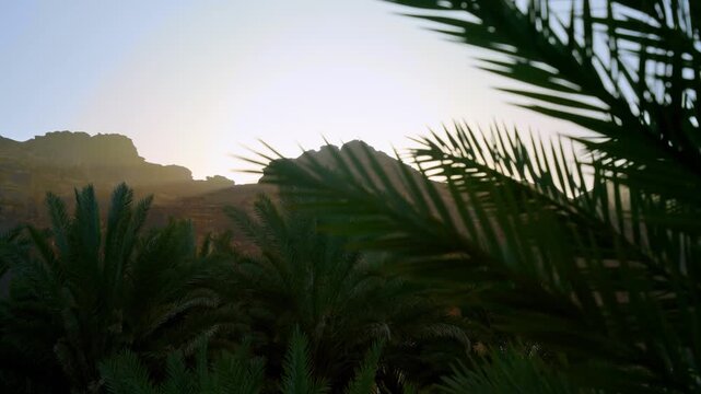 AlUla, Saudi Arabia &ndash; Peaceful Desert Oasis With Palm Groves, Green Gardens, Scenic Nature Landscapes