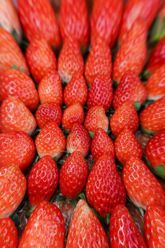 Closeup of a pile of ripe organic akihime strawberries.