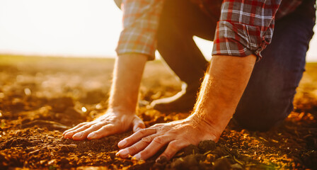 Male hands touching soil on the field. Expert hand of farmer checking soil health before growth.