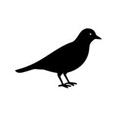 Fototapeta premium Black silhouette of a small bird standing on white background 