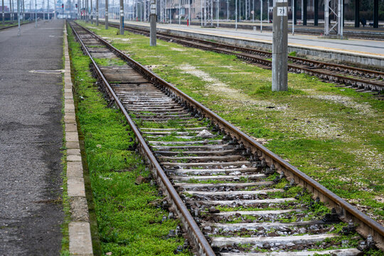 a railway track overgrown with green grass, flanked by a concrete platform on the left and a row of vertical support poles stretching into the distance.