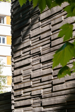 Modern architecture building facade with wood cladding texture in urban vertical composition where nature leaves add contrast and detail