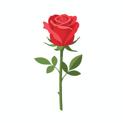 Fototapeta premium Vibrant Red Rose Illustration on White Background